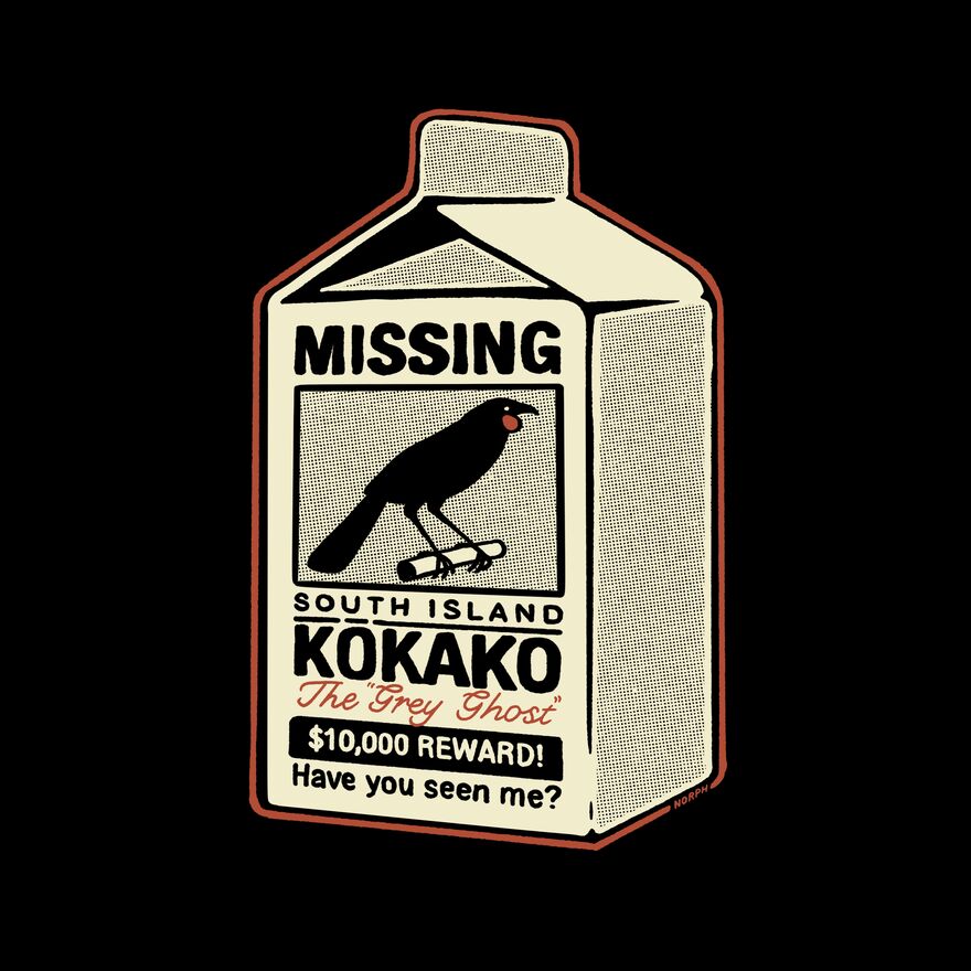 Missing Kokako Thumbnail